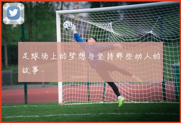足球场上的梦想与坚持那些动人的故事