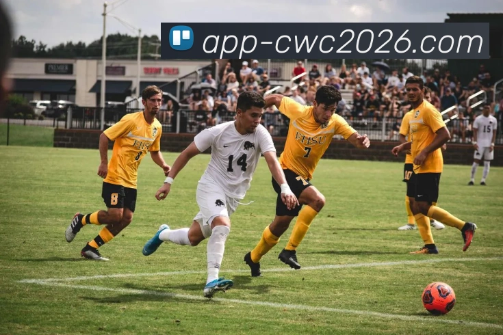 App Interface Preview